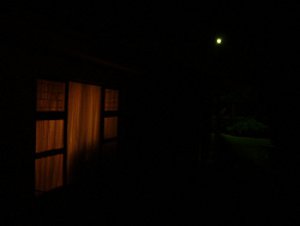 Fear of the dark