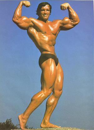 Variants.... Arnold schwarzenegger naked body abstract Consider, Arnold schwarzenegger naked body opinion