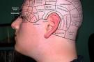 You can tell someone's personality type by what's written under their hair.